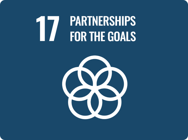 Goal 17: Partnerships to achieve the goals
