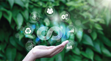 Sustainability Development Goals