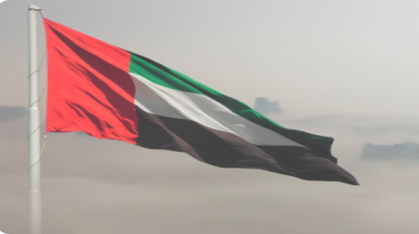 علم دولة الإمارات العربية المتحدة